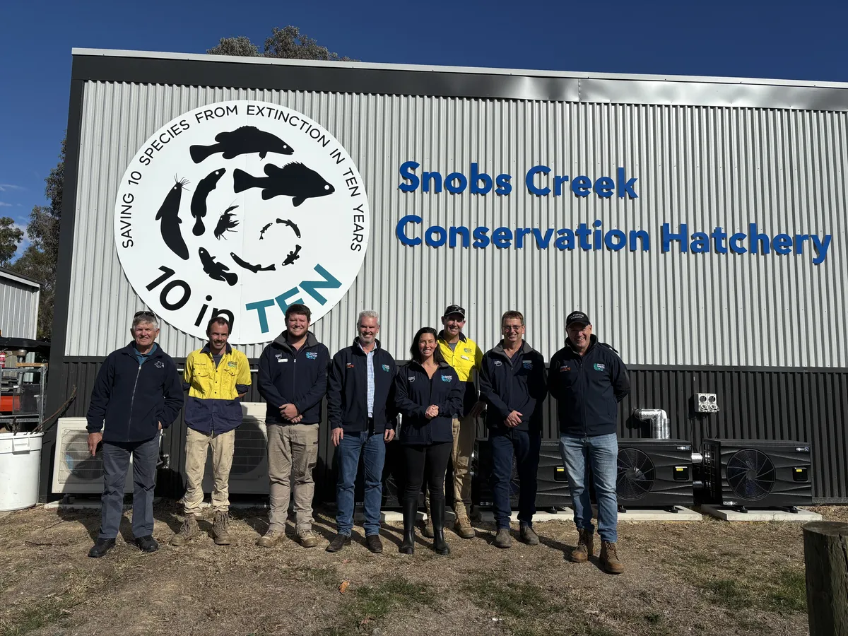 Building a Bright Future for Native Macquarie Perch